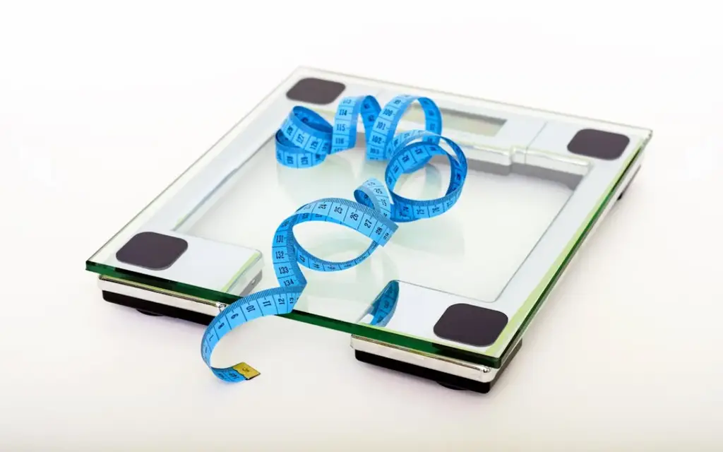 告別小腹婆！瘦腰運動全攻略，在家也能練出纖細腰線